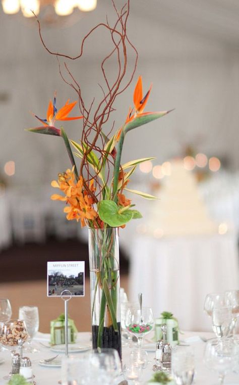 Bit too large for a small table but to gain idea thereof Paradise Centerpiece, Bird Of Paradise Centerpiece, Havana Theme, Tropical Reception, Tea Decorations, Bird Of Paradise Wedding, Bird Themed Wedding, Beach Wedding Decorations Reception, Tropical Floral Arrangements