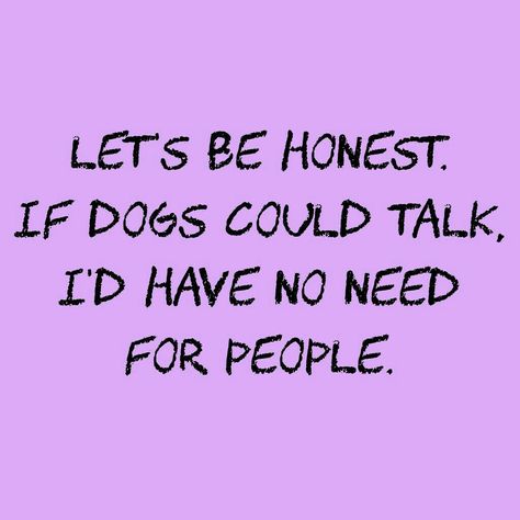 Well actually It's better to hang with dogs than Liberals: If Dogs Could Talk, Dog Rules, Airedale Terrier, Blue Heeler, E Card, Animal Quotes, Dog Quotes, Be Honest, Border Collie