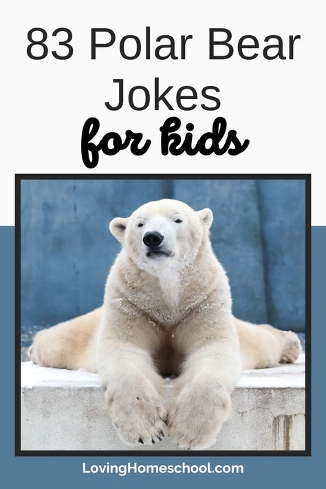 Be bear-y funny with these 83 Polar Bear Jokes for kids! Whether you are doing a study on Polar Bears or just love a good joke, you will have fun with these! Polar Bear Jokes, Bear Jokes, Bear Puns, Bear Quote, Polar Animals, Work Jokes, Jokes For Kids, Polar Bears, Animal Jokes