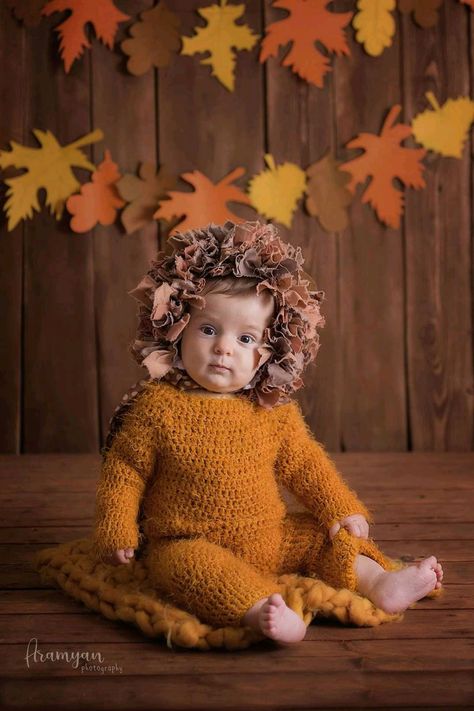 Autumn Studio Photoshoot, Fall Mini Photoshoot Setup, Christmas Sitter Session, Fall Sitter Session, Outdoor Sitter Session, Boho Sitter Session, Photoshoot Theme, Photography Lighting Setup, Sitter Sessions