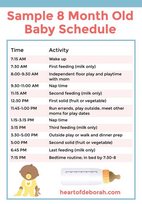 Sample baby schedule for sleeping and eating. Based on an 8 month old baby's routine. #baby #sleepschedule #sleeptraining #babysleep 8 Month Old Schedule, Baby Food Prep, 8 Month Old Baby Food, Baby Food Schedule, 8 Month Baby, 7 Month Old Baby, Baby Meals, Baby Samples, Baby Routine