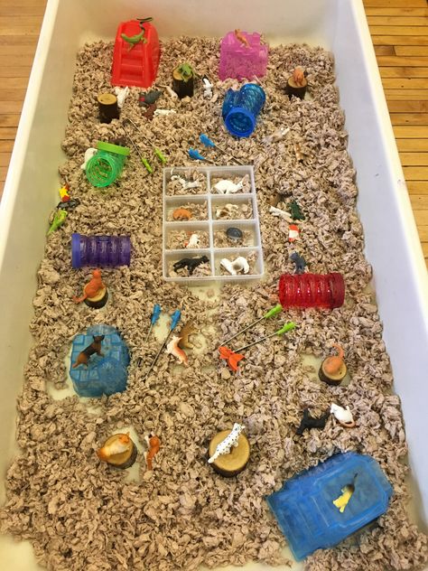 Pets sensory bin Pet Themed Sensory Table, Pet Study Sensory Table, Pet Themed Sensory Bin, Dog Sensory Play, Pets Sensory Bin, Dog Sensory Bin, Pet Sensory Bin Preschool, Pet Unit Preschool, Pet Week Preschool Activities