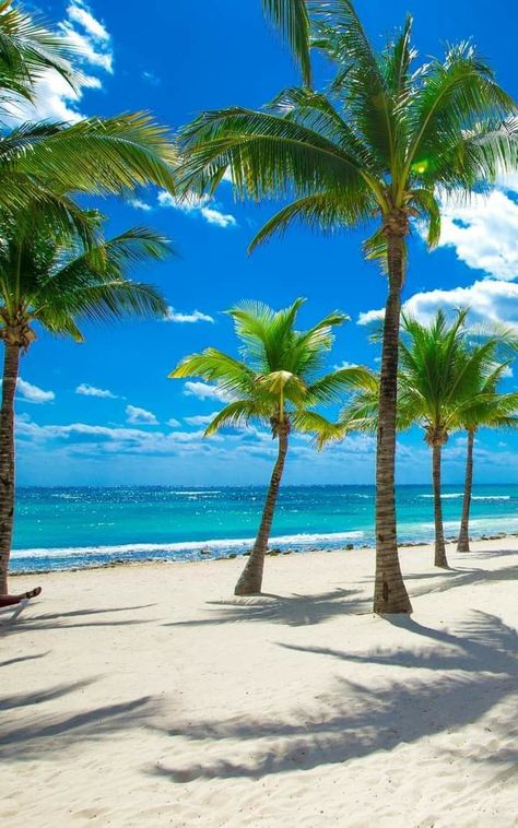 Dominican Republic Beaches, Beautiful Beaches Paradise, Beautiful Beach Pictures, Beach Picture, Tropical Beaches, Beach Wallpaper, Beautiful Locations Nature, Quintana Roo, Beautiful Places Nature