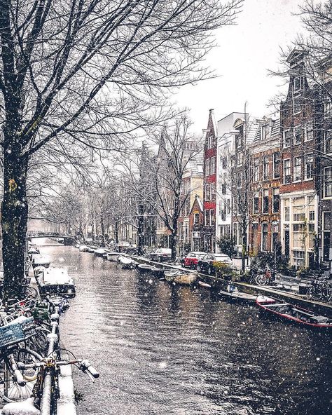 Amsterdam Winter, Amsterdam Red Light District, Greek Temple, Visit Amsterdam, Heavy Snow, Red Light District, Parc D'attraction, Amsterdam Travel, Amsterdam City