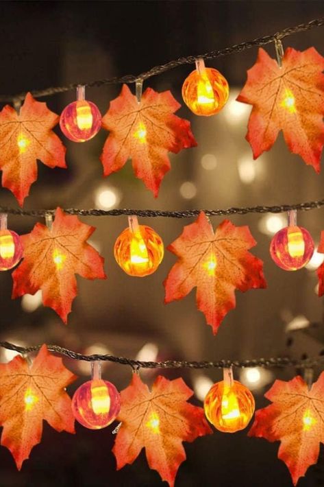 3 Pack Fall Garland with Pumpkin Lights & Enlarged Maple Fall String Lights Pumpkins Lights, 30Ft 60LED Waterproof Battery Operated Fall Decorations Home Indoor Outdoor Thanksgiving Halloween Decor #autumn #wedding #sponsored #ad As an Amazon Associate I earn from qualifying purchases Leaf Pumpkin, Outdoor Thanksgiving, Fall Garland, Pumpkin Lights, Home Indoor, Glow Party, Halloween Decorations Indoor, Pumpkin Theme, Fall Outdoor