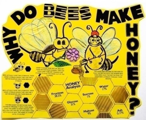 Make a Science Fair Project about How Bees Make Honey | Insects Science Poster Ideas for Kids Science Poster Ideas, Science Activity For Preschoolers, How Bees Make Honey, Honey Poster, Science Fair Board, Cool Science Fair Projects, Poster Design Ideas, Science Fair Project, Worm Farm