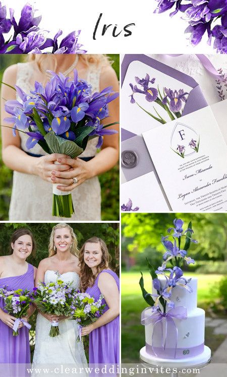 Iris Wedding Invitation, Iris Wedding Flowers, Iris Wedding Bouquet, Floral Wedding Ideas, Summer Floral Wedding, Iris Wedding, Bride Stuff, Shoot Moodboard, Wedding Colours