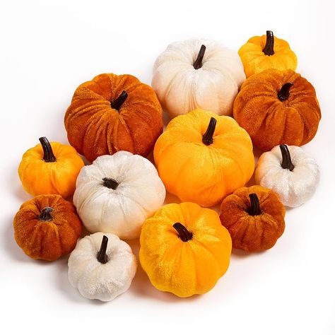 Amazon.com: Ywlake 12 Pcs Pumpkin Fall Decorations Mixed, Decorative Velvet Mini Small Outdoor Foam Plastic Fake Faux Artificial Pumpkins for Autumn Harvest Festival Halloween Home Table Decor (4 Colors) : Home & Kitchen Unique Halloween Decorations, Elegant Pumpkins, Home Table Decor, Pumpkin Decorations, Plastic Pumpkins, Artificial Pumpkins, Fireplace Mantel Decor, Foam Pumpkins, Pumpkin Autumn