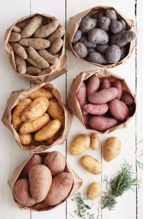 Gardening Potatoes, Grow Potatoes, Growing Potatoes, Fruit And Veg, Backyards, Roasted Vegetables, Paper Bags, Fruits And Veggies, Green Thumb