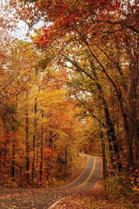 Fort Payne Alabama, River Canyon, Fall Mood Board, Autumn Rain, Lookout Mountain, Autumn Ideas, Autumn Magic, Autumn Scenes, Autumn Scenery