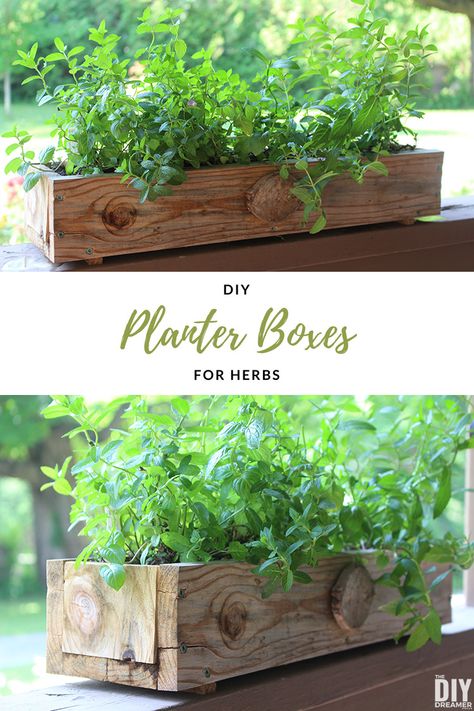 DIY Planter Boxes for Herbs. How to build planter boxes for herbs and for flowers too. #planterbox #gardening #diyplanter #outdoorplanter Build Planter Boxes, Diy Planter Boxes, Building Planter Boxes, Herb Garden Boxes, Herb Planter Box, Herb Diy, Garden Planters Diy, Garden Boxes Diy, Herb Boxes