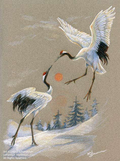 Crane Drawing, Crane Tattoo, Frida Art, Japanese Crane, Art Chinois, Asian Painting, Sample Paper, Herons, Art Supply