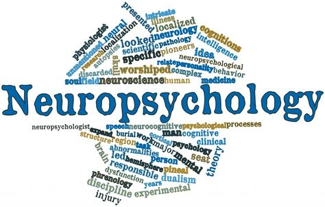 Neuropsychology Branches Of Psychology, Behavioral Neuroscience, Mental Health Assessment, Deep Brain Stimulation, Group Dynamics, Psychology Studies, Forensic Psychology, Special Educational Needs, Health Psychology