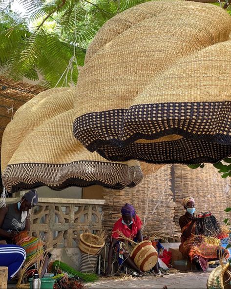 The Baba Tree Basket Company on Instagram: “MMMORNING MEETING • To discuss our most recently finished #petlampmeetsthebabatree collaborative lampshades as seen. Hung from the trees…” African Trees, Food Court Design, Tree Basket, African Tree, Grass Roof, African Interior Design, African Interior, Artisan Furniture, Interior Design Rustic