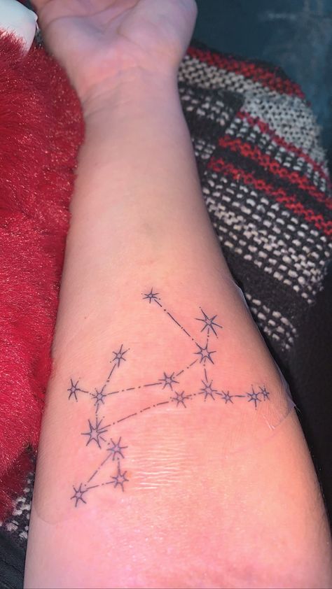 Canis Major Tattoo, Sirius Black Dog, Canis Major Constellation, Star Constellation Tattoo, Canis Major, Constellation Tattoo, Witch Tattoo, Constellation Tattoos, Black Inspiration