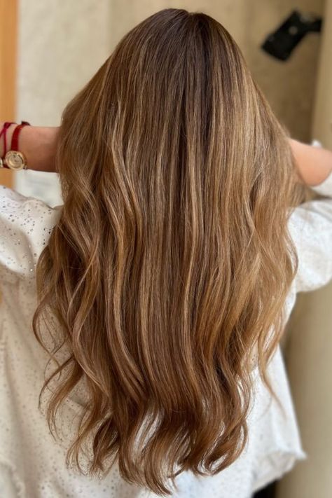 Different Brown Hair, Different Brown Hair Colors, Gorgeous Brown Hair, Hair Color Brown Chestnut, Chestnut Brown Hair, Brown Hair Color Ideas, Bronde Hair, Brown Hair Color, Bridal Hair Inspiration