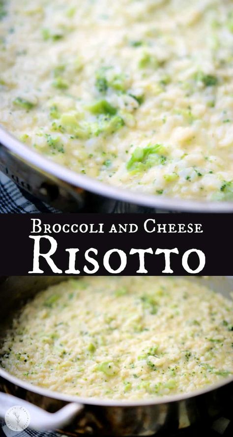 This Broccoli and Cheese Risotto made with Arborio rice is cheesy, super creamy and makes a delicious side dish to accompany any meal. Cottage Cheese Side Dish, Cheese Risotto, Italian Dinners, Staple Recipes, How To Make Risotto, Dish Ideas, Healthy Vegetable Recipes, Vegetable Side Dishes Recipes, Homemade Alfredo Sauce