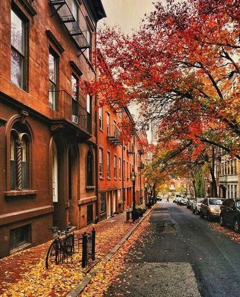 Autumn in Boston City photography Studera Motivation, Living Modern, Beacon Hill, Autumn Scenery, Fall Pictures, Fall Aesthetic, Autumn Cozy, Autumn Aesthetic, Boston Ma