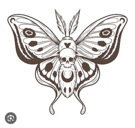 Moth Drawing Tattoo, Drawing Tattoo Ideas, Luna Moth Tattoo, Moth Drawing, Moth Tattoo Design, Cute Moth, Moth Illustration, Skull Moth, Deaths Head Moth