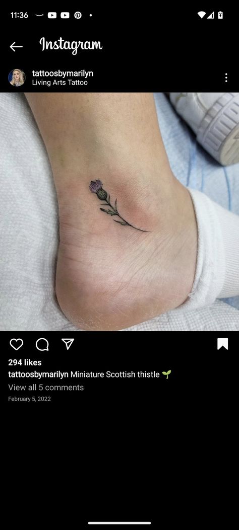 Feminine Scottish Tattoo, Uk Inspired Tattoo, Thistle Ear Tattoo, Welsh Inspired Tattoos, Thistle Finger Tattoo, Small Thistle Tattoo Simple, Fine Line Scottish Thistle Tattoo, Dainty Thistle Tattoo, Scottish Heather Tattoo Flower