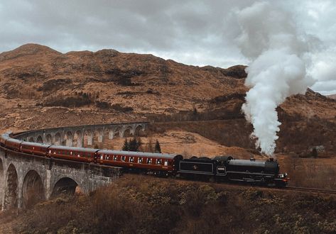 Edinburgh Tours, Outlander Tour, Glenfinnan Viaduct, Harry Potter Locations, Scotland Aesthetic, Scotland Road Trip, Scotland Tours, Fairy Pools, Cruise Excursions