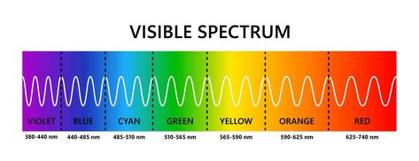 Visible light spectrum. Optical light wavelength. Electromagnetic visible color spectrum for human eye. Vector gradient diagram with wavelength and colors. Educational illustration on white background Spectrum Tattoo, Visible Light Spectrum, Light Spectrum, Visible Spectrum, Electromagnetic Spectrum, Shingle Colors, Educational Illustration, Color Spectrum, White Tattoo