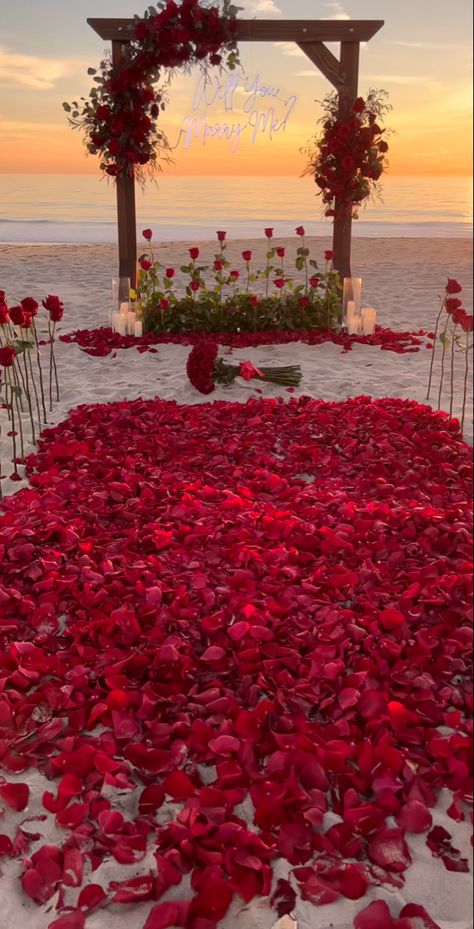 The perfect proposal at sunset in the beach with rose peadels and a beautiful sign Proposal Ideas Beach, Wedding Proposal Ideas Engagement, Luxury Proposal, Surprise Proposal Pictures, Cute Proposal Ideas, Proposal Videos, Proposal Pictures, Romantic Date Night Ideas, Proposal Planning