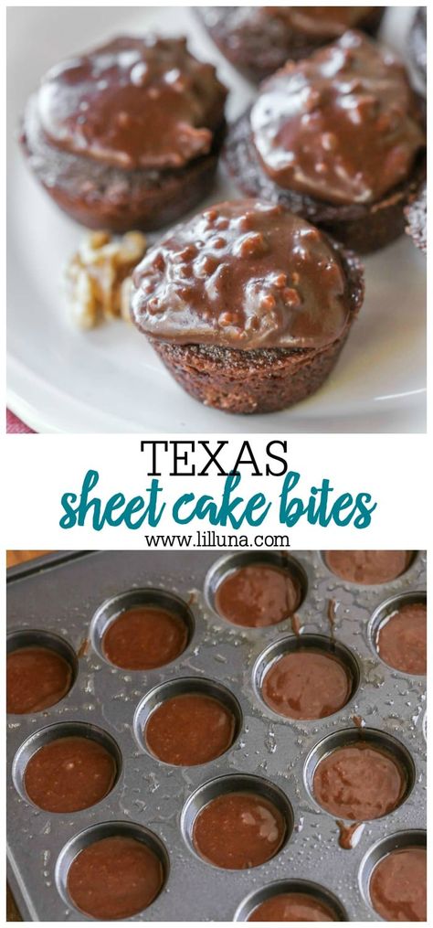 Sheet Cake Bites, Texas Sheet, Texas Sheet Cake, Chocolate Sheet Cake, Bite Size Desserts, Sheet Cake Recipes, Cake Bites, Homemade Cake Recipes, Pumpkin Cake