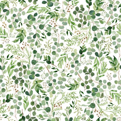 Watercolor Botanical Eucalyptus & Green Leaves , Raspberry Creek Fabrics Eucalyptus Pattern, Eucalyptus Print, Leaves Wallpaper Iphone, Earring Inspo, Eucalyptus Green, Feuille Eucalyptus, Eucalyptus Branches, Botanical Leaves, Flower Abstract