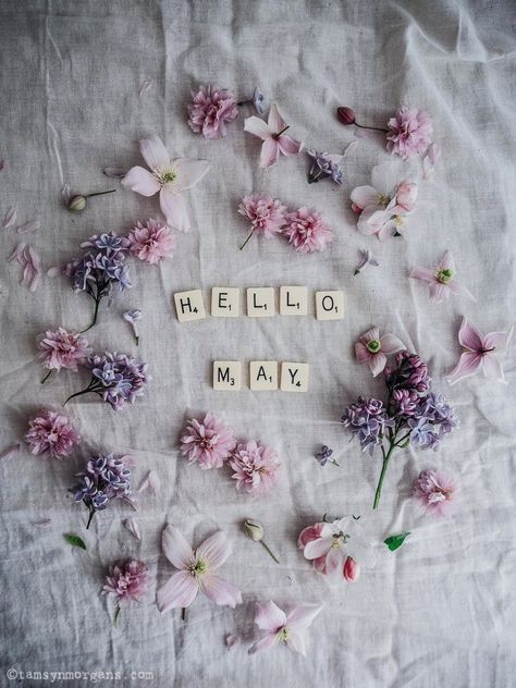 Hello May | Floral flatlay by Tamsyn Morgans Hello May Month, Spring Flatlay, Hello May Quotes, May Wallpaper, Flower Flat Lay, Floral Flatlay, Flat Lay Photos, Scrabble Letters, Hello October