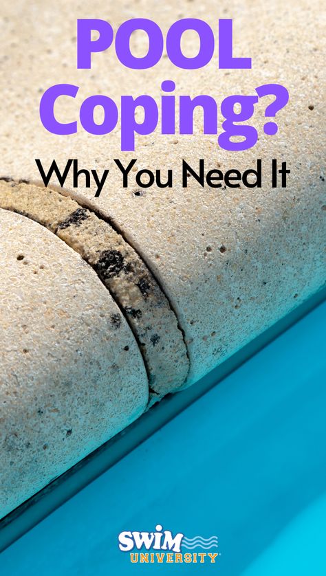 Inground Pool Coping, Stone Around Pool, Inground Pool Maintenance, Inground Pool Covers, Pool Plumbing, Pool Plaster, Inground Pool Landscaping, Swimming Pool Maintenance, Pool Essentials