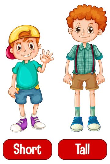 Cartoon Duos, Adjectives For Kids, Opposites For Kids, Man And Woman Silhouette, English Opposite Words, Adjective Words, Educational Flash Cards, English Skills, Opposite Words