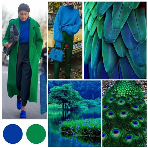 Color Pallets Outfits, Army Green Colour Combination, Best Color Combinations Outfits Womens Fashion, Sea Green Colour Combination Dress, Dark Green Outfit Color Combos, Teal Outfit Ideas Color Combos, Green Combo Outfit, Green And Purple Outfit, Color Matching Clothes