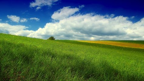 Would you want every surface in your house to be a TV screen? Tv Screen Wallpaper, Developing Photos, Green Grass Field, Empty Road, Flint Hills, Cumulus Clouds, Cloud Illustration, Summer Trees, Grasses Landscaping