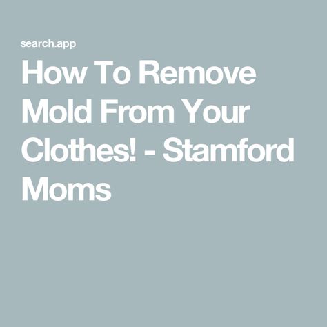 How To Remove Mold From Your Clothes! - Stamford Moms Mold On Clothes, Remove Mold From Clothes, Remove Mold Stains, Mold Smell, How To Remove Mold, Remove Black Mold, Remove Mold, Natural Disinfectant, Laundry Tips