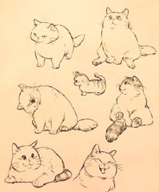 Birthday Drawing, Cat Drawing Tutorial, Cat Sketch, 강아지 그림, Arte Sketchbook, Cute Animal Drawings, Sketchbook Art Inspiration, Cat Illustration, Cat Drawing