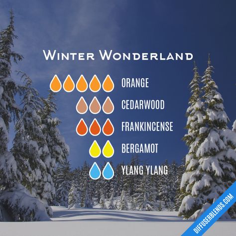 Winter Wonderland - Essential Oil Diffuser Blend Essential Oil Diffuser Blends Recipes, Baby Its Cold, Essential Oil Diffuser Recipes, Oil Diffuser Recipes, Essential Oil Blends Recipes, Essential Oil Mixes, Its Cold, Aromatherapy Blends, Diffuser Blend