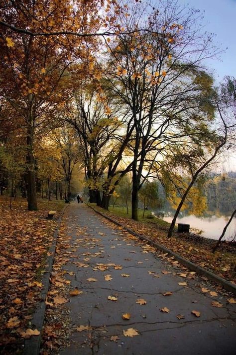 Autumn Walks Aesthetic, Evening Walks Aesthetic, Autumn Walk Aesthetic, Evening Walk Aesthetic, Autumn Outside, Fall Walk, Autumn Walk, Fall Evening, Autumn Evening