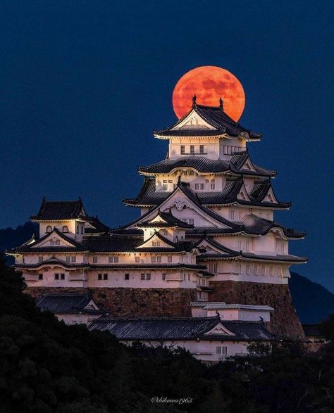 Medieval Japanese, Japanese Homes, Architecture Photography Buildings, Ancient Chinese Architecture, Traditional Japanese Architecture, Japanese Castle, Japan Architecture, Samurai Artwork, Asian Architecture