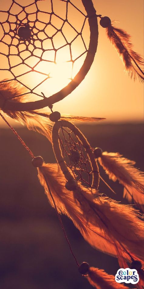 Dream Catcher Photography, Dream Catcher Wallpaper Iphone, Dreamcatcher Wallpaper, Aesthetic Objects, Beautiful Wallpapers For Iphone, Shotting Photo, Smartphone Wallpaper, Photography Wallpaper, Native American Art