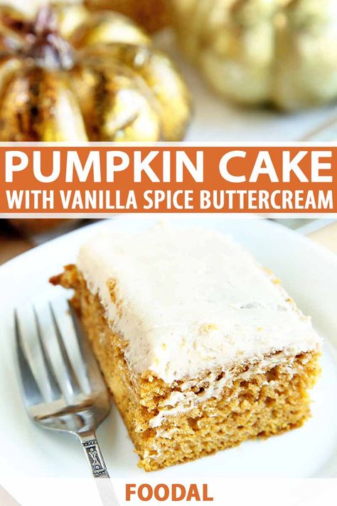 Pumpkin cake with spiced buttercream frosting is the ideal fall dessert. Whether you're planning a Halloween get-together or feeding a crowd at your Thanksgiving table, you'll win everyone over with a slice of this moist and flavorful cake. Get the recipe now. #foodal #pumpkinspice #pumpkindessertrecipes #fallflavors Flavored Buttercream, Chocolate Desserts Fancy, Pumpkin Cake Recipe, Spiced Buttercream, Future Chef, Pumpkin Cake Recipes, Pumpkin Waffles, Vanilla Buttercream Frosting, Autumn Recipes