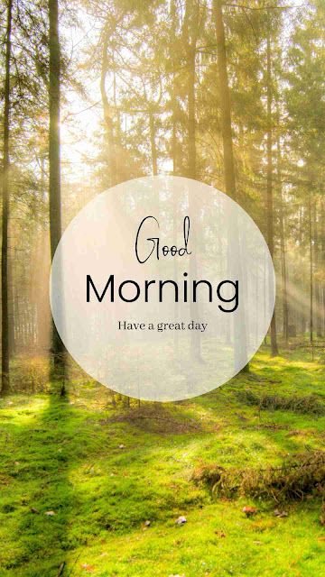 Best Good Morning Images, Nice Good Morning Images, Good Morning Msg, Morning Msg, Cute Good Morning Images, Good Morning Nature, Happy Good Morning Quotes, Good Morning Beautiful Pictures, Good Morning My Love