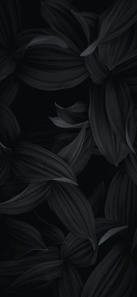 Dark Theme Wallpaper, Halloween Home Decor Ideas, Leaves Wallpaper Iphone, Designs Wallpaper, Wallpaper Store, Ipad Pro Wallpaper, Dark Black Wallpaper, Qhd Wallpaper, Jelly Wallpaper