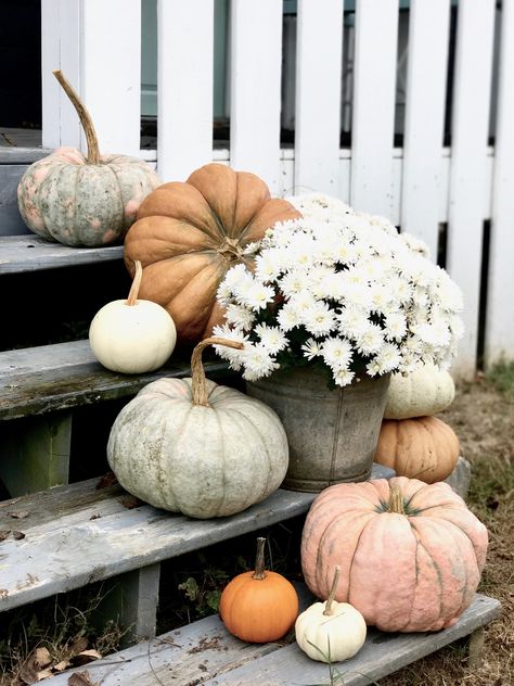 Pumpkins on the Front Porch Steps Porch Fall Decorating Ideas, Front Porch Design Ideas, Front Porch Steps, Outside Fall Decor, Porch Design Ideas, Festa Harry Potter, Fall Front Porch Decor, Porch Steps, Diy Outdoor Decor