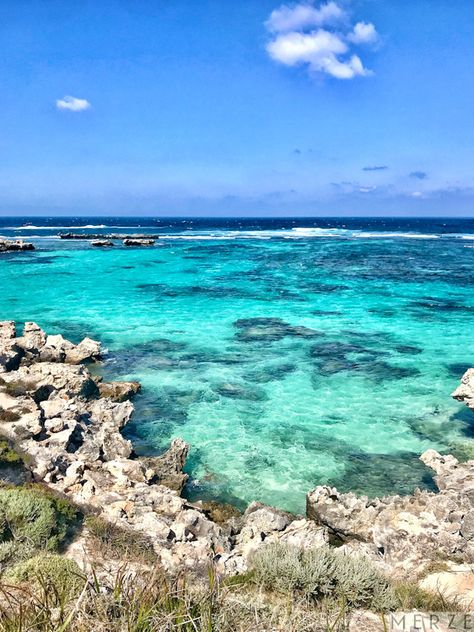 Beautiful aqua ocean found off the coast of Rottnest Island, Western Australia. #travel #travelphotography #australia #rottnestisland #travelaustralia #travelblog #followmytraveladventures #blog @merzelifestyle Good Coast Australia, Rottnest Island Australia, Rottnest Island Aesthetic, Australia Coast, Traveling Australia, Coastal Pictures, Western Australia Travel, Australia Landscape, Rottnest Island