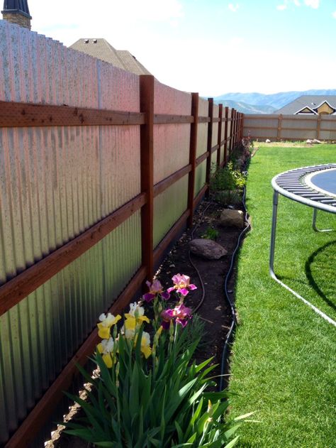 Cheap Privacy Fence, Corrugated Metal Fence, Yard Privacy, Diy Privacy Fence, Privacy Fence Designs, Cheap Fence, Cheap Backyard, Garden Ideas Cheap, Backyard Privacy