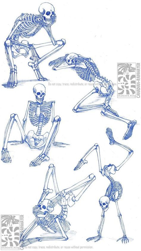 Skeleton Poses, Skeletal Structure, Skeleton Anatomy, Skeleton Drawings, Skeleton Tattoos, Human Anatomy Drawing, Human Skeleton, Human Anatomy Art, Tutorials Drawing