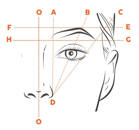 Eyebrow Mapping Guide, Eyebrow Practice Sheet Printable, Brow Mapping Practice Sheet, Eyebrow Mapping Tutorial, Eyebrow Mapping, Microblading Training, Brow Mapping, Eyebrow Shading, Lips Sketch