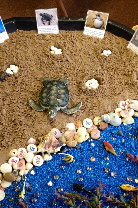 Turtle life cycle small world Sea Turtle Project, Sea Turtle Habitat Project For Kids, Life Cycles Eyfs, Turtle Habitat Projects For Kids, World Turtle Day Eyfs, Sea Turtle Habitat Diorama, Turtle Activities For Kids, Turtle Sensory Activities, Turtle Activities For Preschool