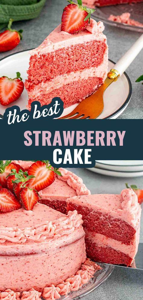 This Homemade Strawberry Cake is bursting with fresh strawberry flavor and topped with a creamy strawberry buttercream. Perfect for any occasion! ���🍓🎂 #StrawberryCake #BakingRecipe #DessertIdeas #FreshStrawberries #HomemadeCake From Scratch Strawberry Cake, Best Ever Strawberry Cake, Cake With Strawberry Frosting, Best Strawberry Cake, Strawberry Cake From Scratch, Strawberry Sheet Cakes, Strawberry Layer Cakes, Homemade Strawberry Cake, Strawberry Cake Recipe